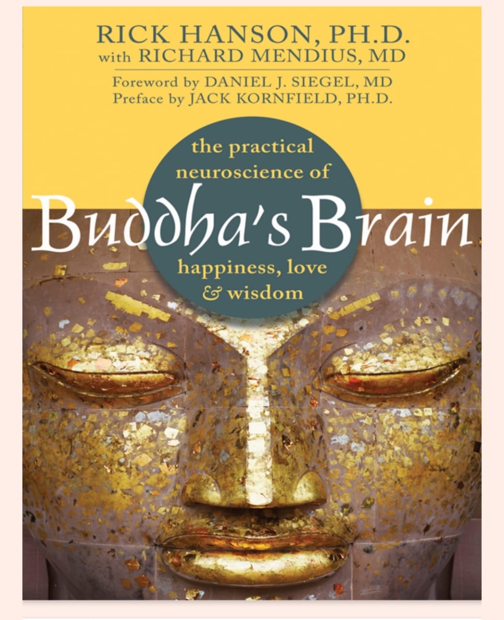 BUDDHAS BRAIN POWER BOOK